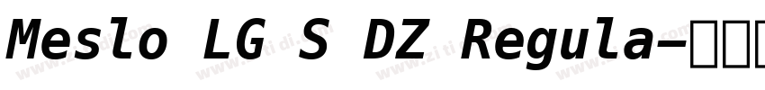 Meslo LG S DZ Regula字体转换